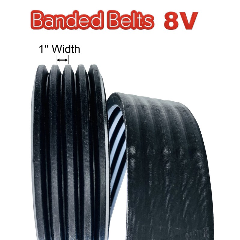 8V1650/12 V belt